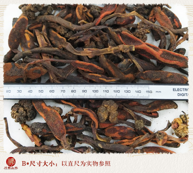 cstcssnhuichuncaoxiaogetonghuo09.jpg