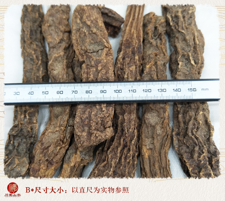 cstcssnsuoyangxuanhuowutou09.jpg