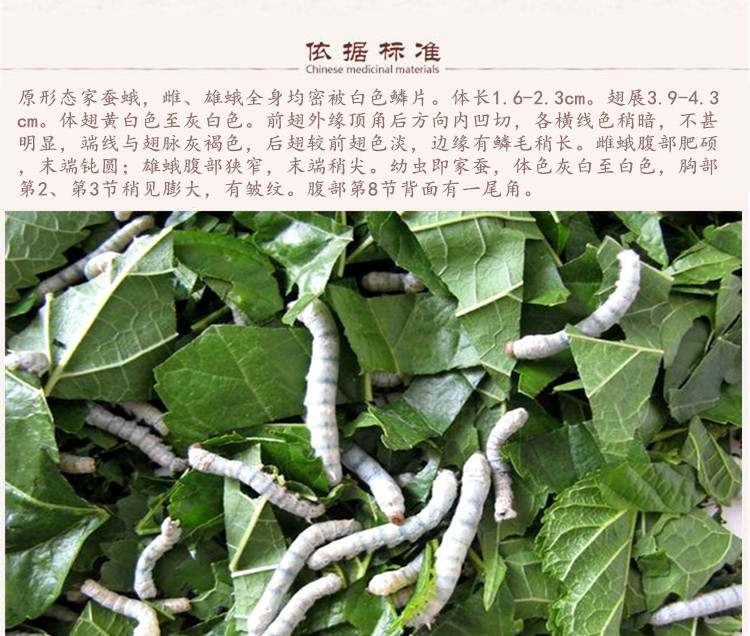 蚕沙5.jpg
