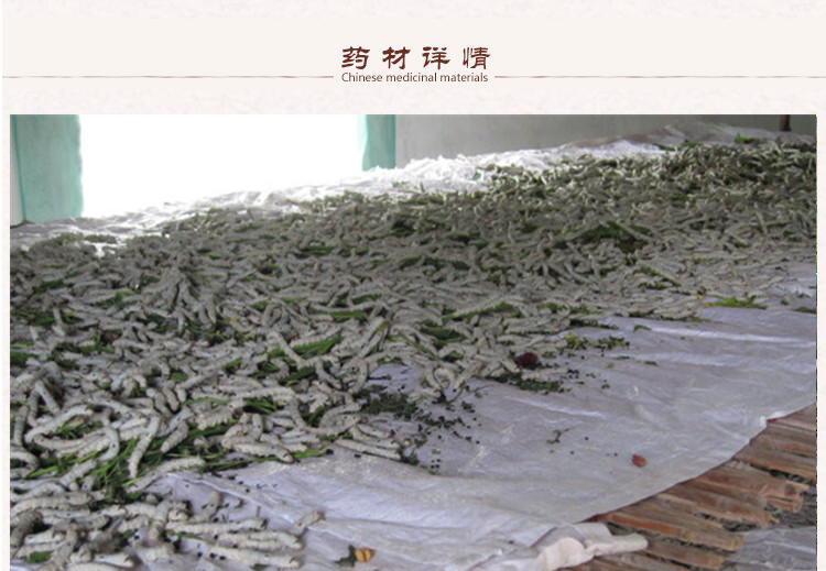 蚕沙2.jpg