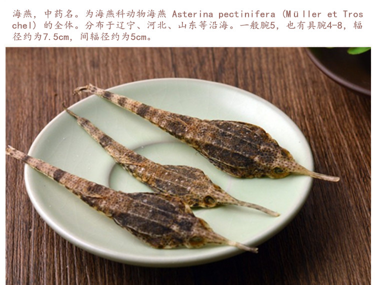 海燕3.jpg