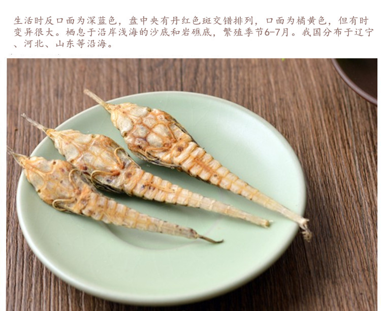 海燕5.jpg