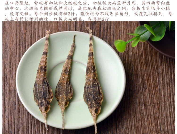 海燕4.jpg