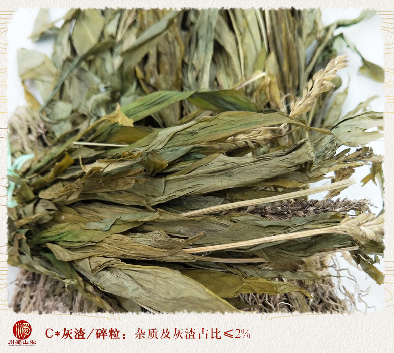 cstcssnjianxueqingzhengkun010.jpg