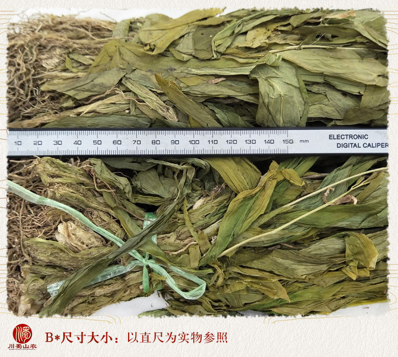 cstcssnjianxueqingzhengkun09.jpg