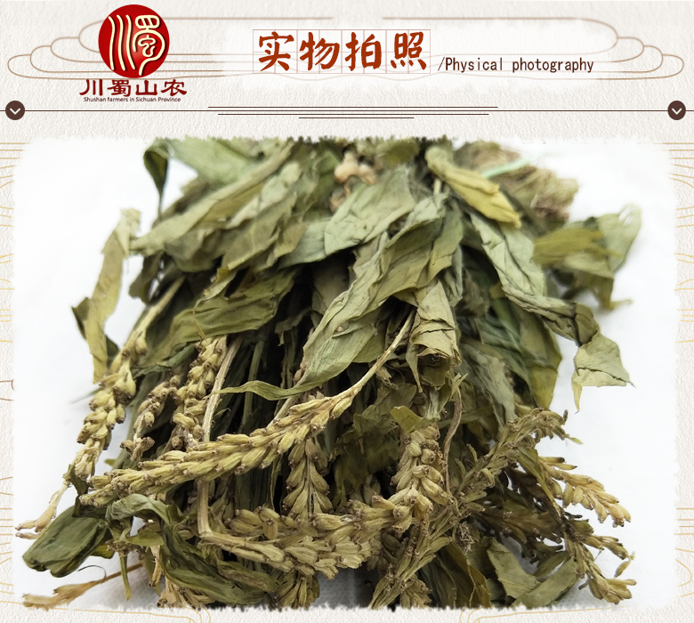 cstcssnjianxueqingzhengkun07.jpg