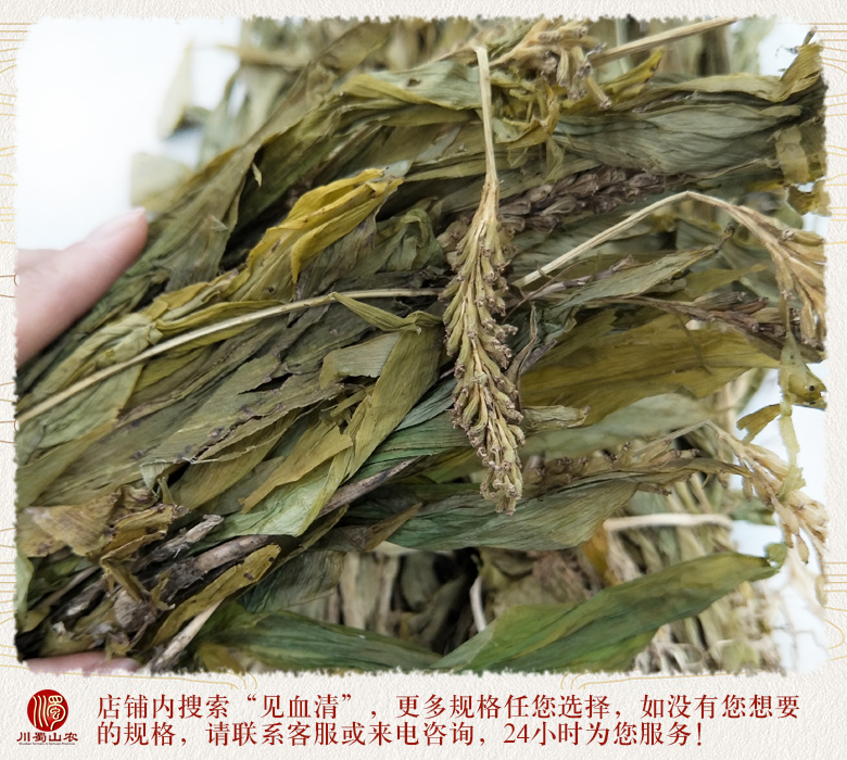 cstcssnjianxueqingzhengkun012.jpg