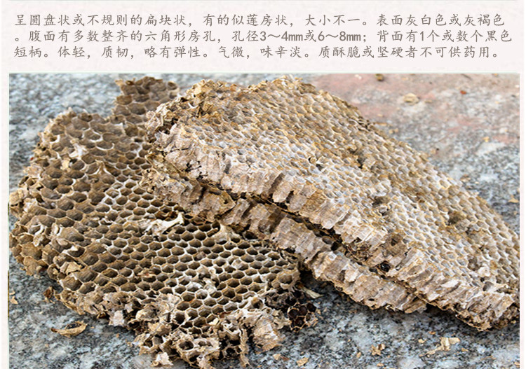 蜂房4.jpg