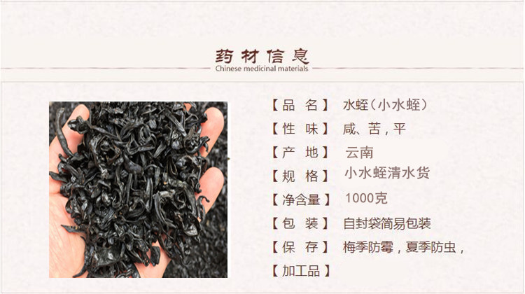 清水小水蛭1.jpg