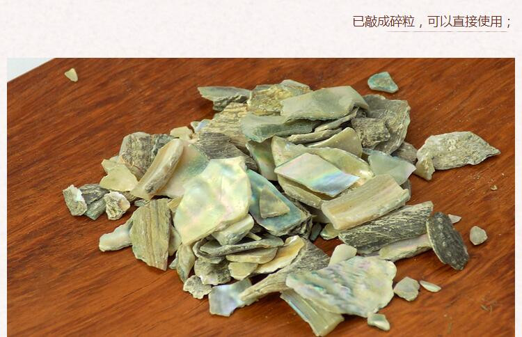 石决明4.jpg