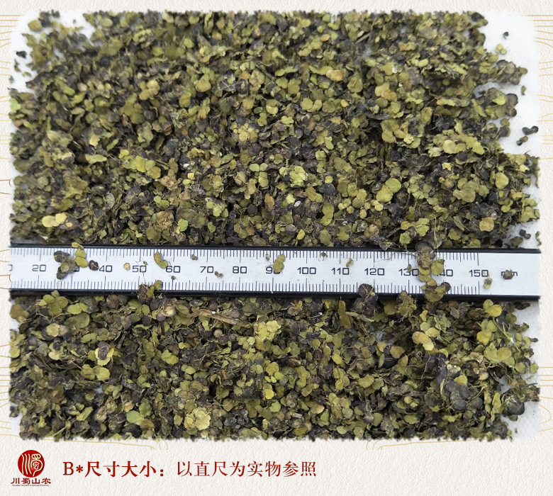 cstcssnfupingqinmgse09.jpg