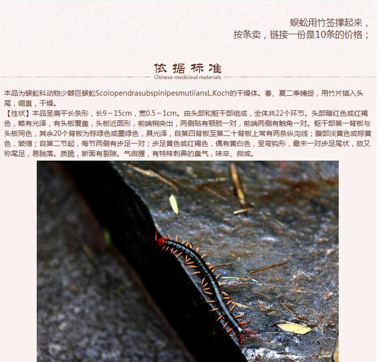 xin蜈蚣4.jpg