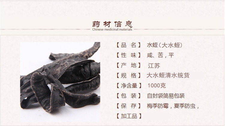 长条水蛭1.jpg