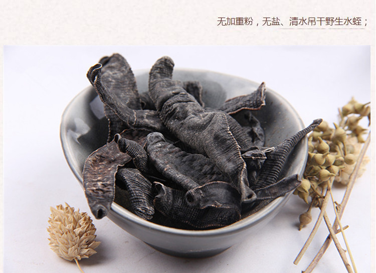 长条水蛭3.jpg