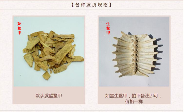 鳖甲2.jpg
