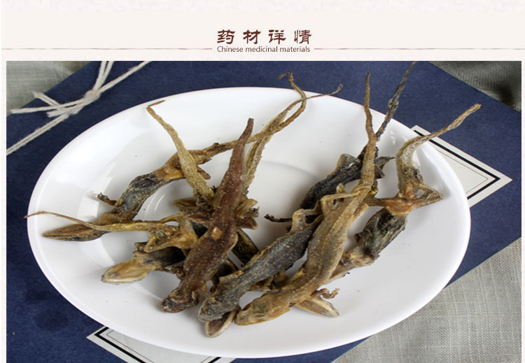 壁虎2.jpg