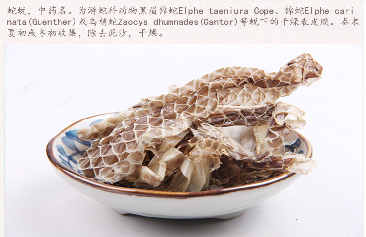 蛇皮3.jpg