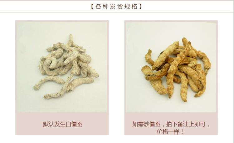 白僵蚕2.jpg