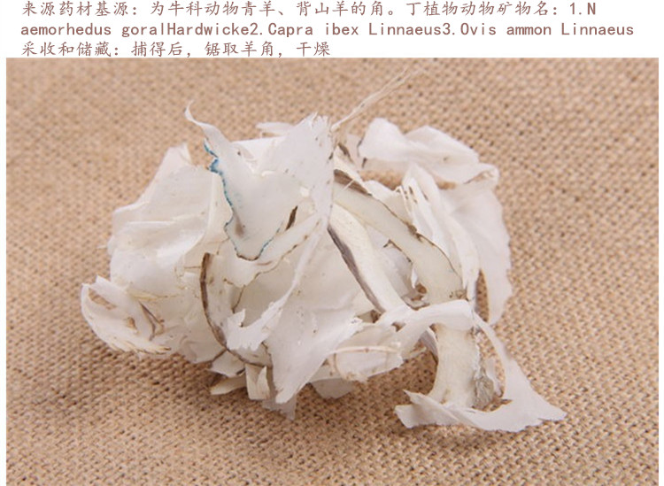 山羊角3.jpg