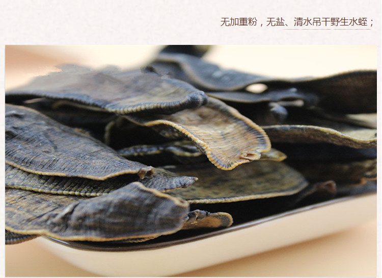 大条水蛭3.jpg