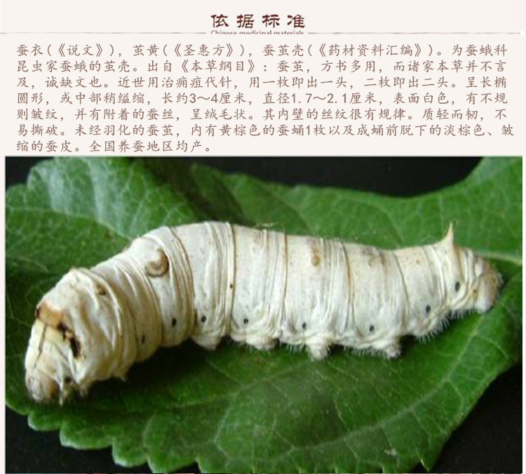 蚕茧壳9.jpg