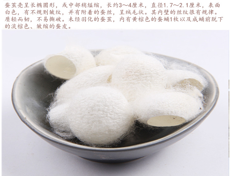 蚕茧壳3.jpg