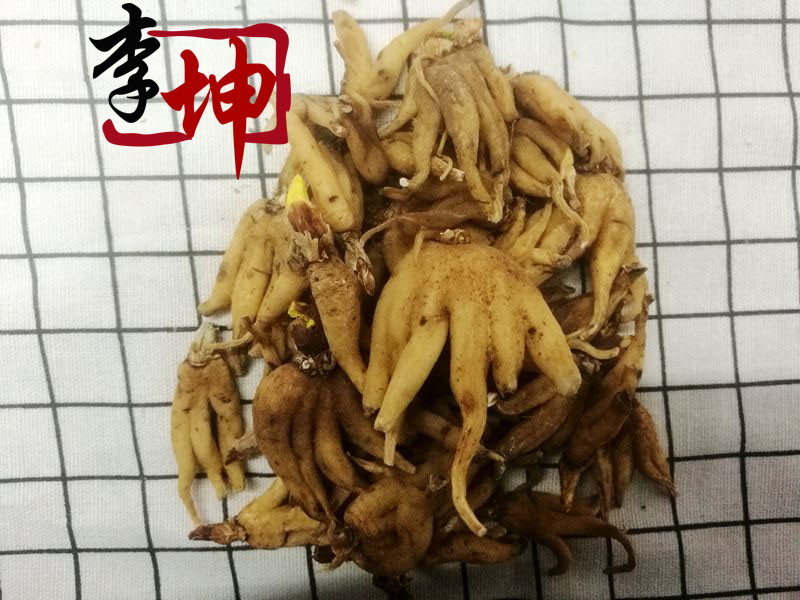 未标题-13.jpg