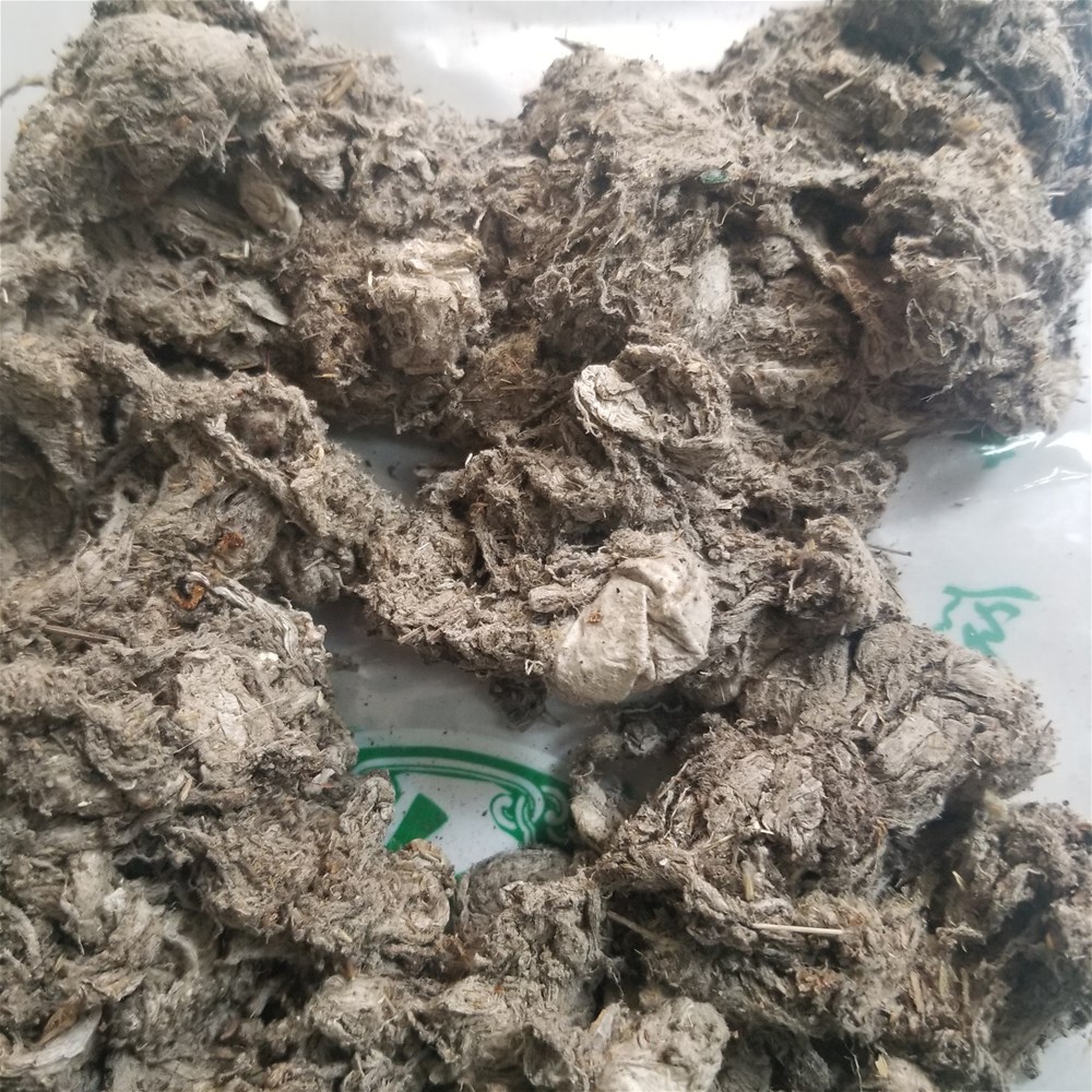 20190413_153319.jpg