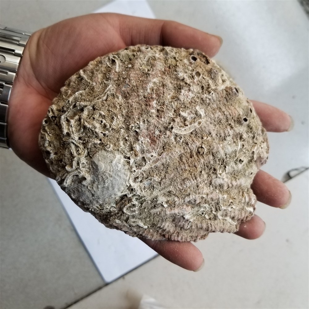 20190409_164756.jpg
