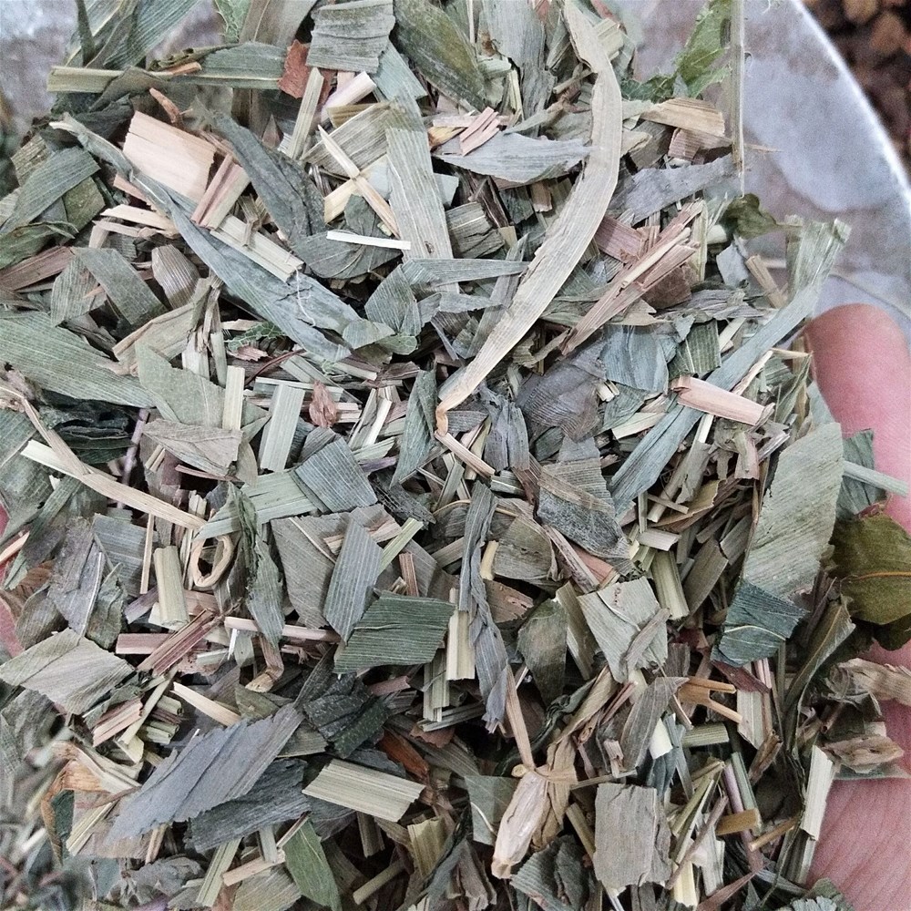 QQ图片20181029154621.jpg