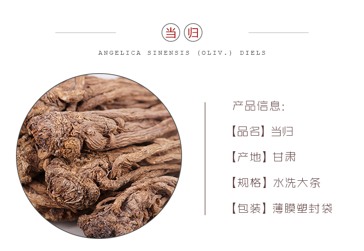 当归水洗大条.jpg