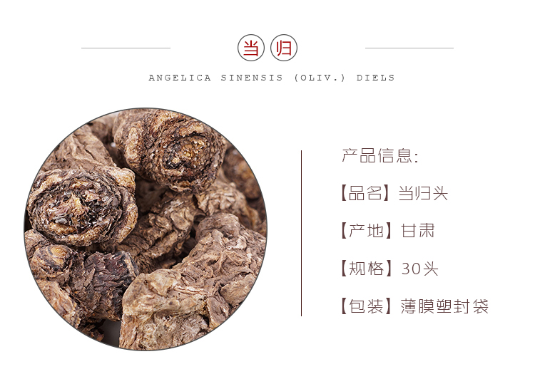 当归头30头.jpg