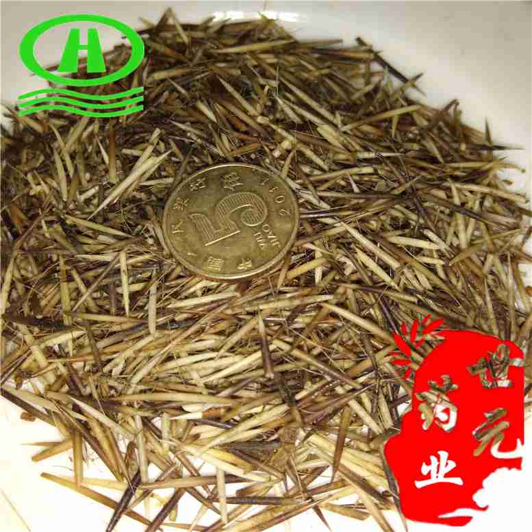 刺猬刺刺猬针160宇~11_副本.jpg
