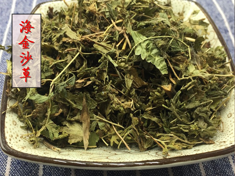 海金沙草1.jpg