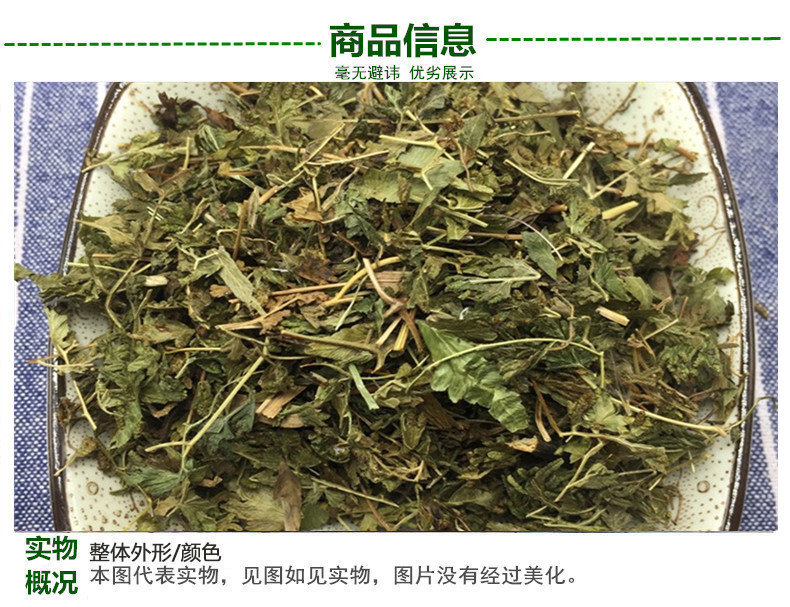 海金沙草3.jpg