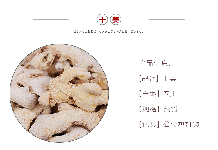 干姜个子.jpg