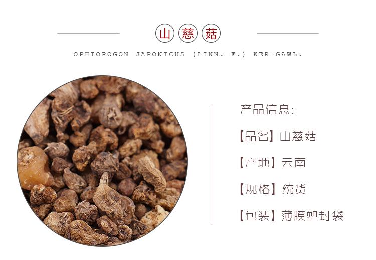 山慈菇统_01.jpg