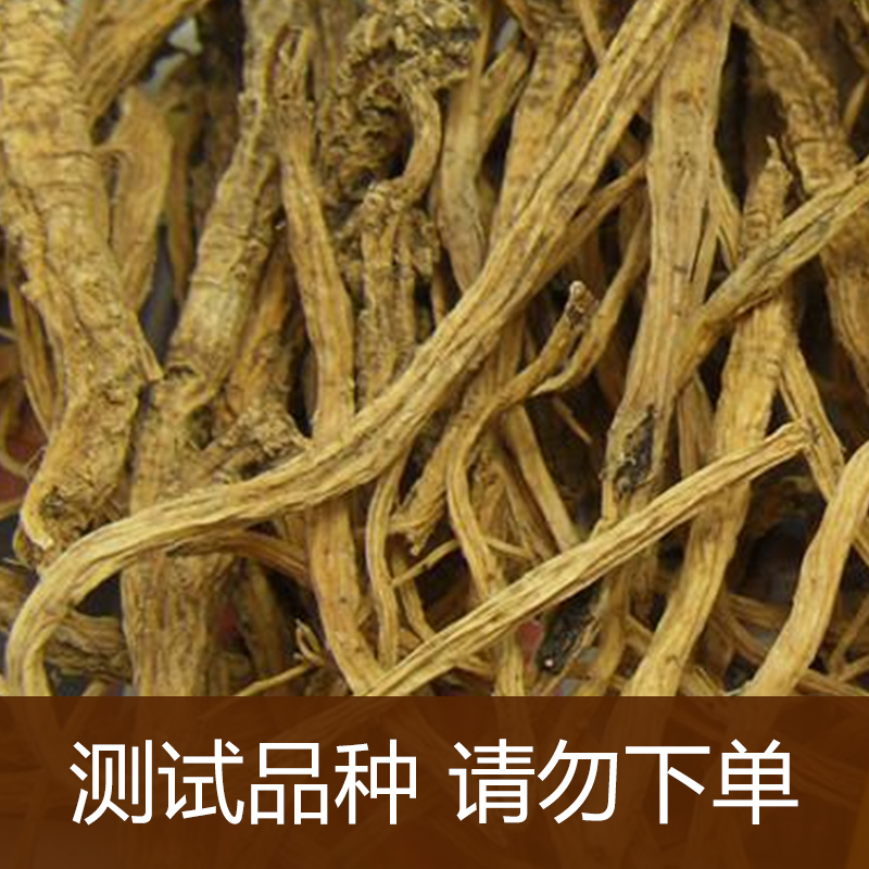 党参.jpg
