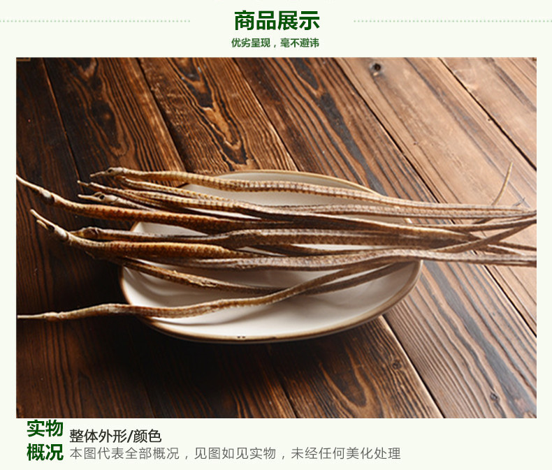 小海龙3.jpg