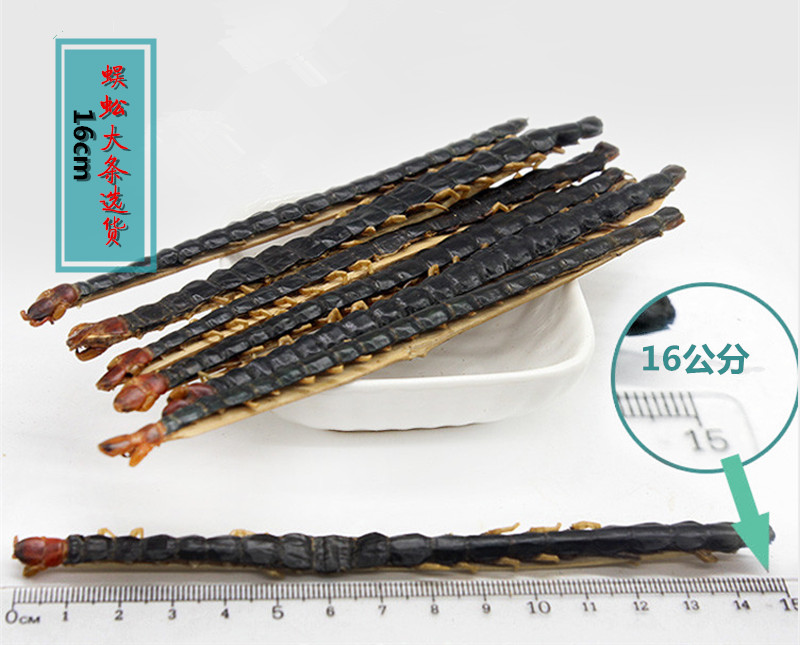 蜈蚣1蜈蚣大条精选16-17cm .jpg