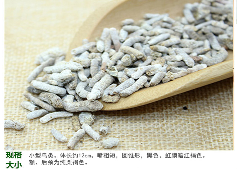 白丁香5.jpg