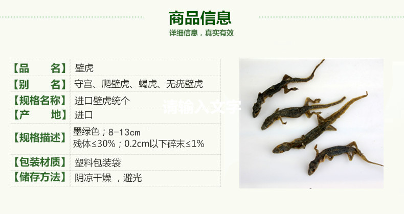 进口壁虎2.jpg