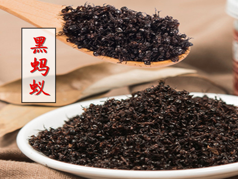 黑蚂蚁1.jpg