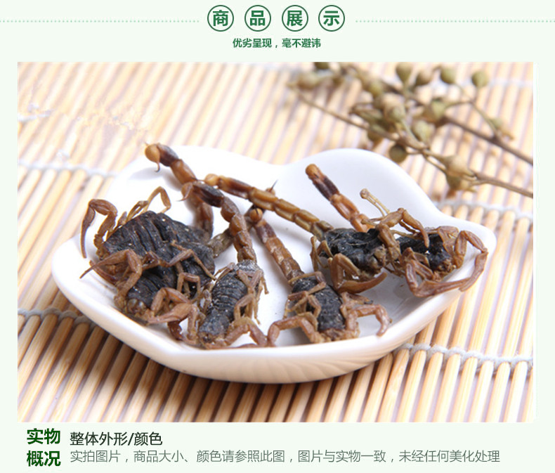全蝎3.jpg