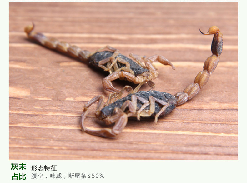 全蝎4.jpg