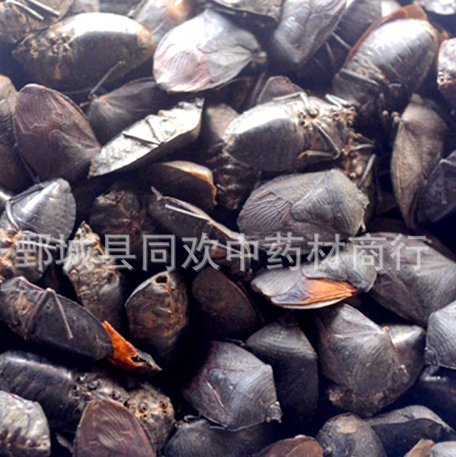 QQ截图20191209230403.png