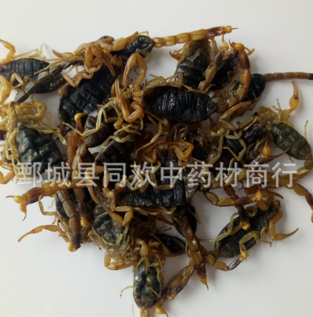 QQ截图20191207001941.png