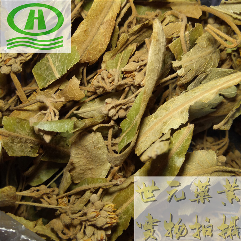 麻山药毛条刘扬~02.jpg