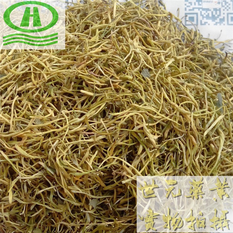 山银花E6_副本1.jpg