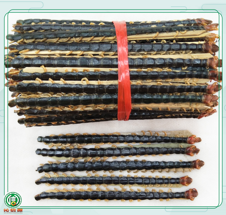 wugong14dao15lim06.jpg